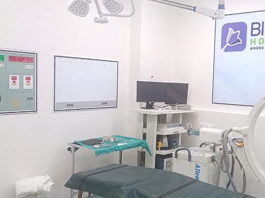 Operation theatre at Bluebell Hospital