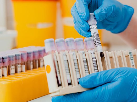 Blood samples in the pathology laboratory at Bluebell Hospital